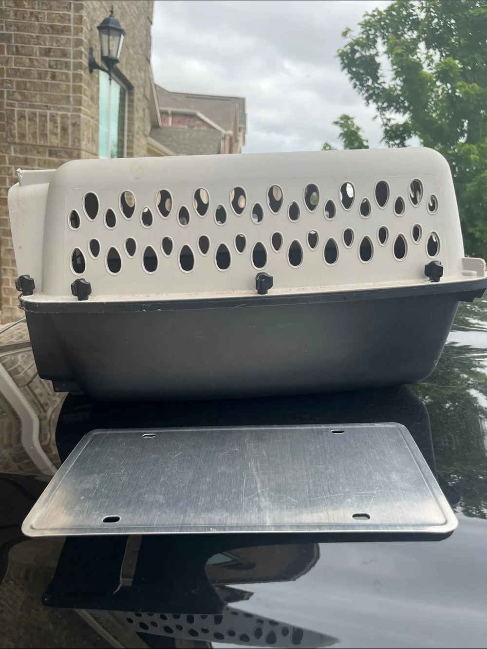 DONATED Two-Tone Plastic Pet Carrier with Ventilation Holes